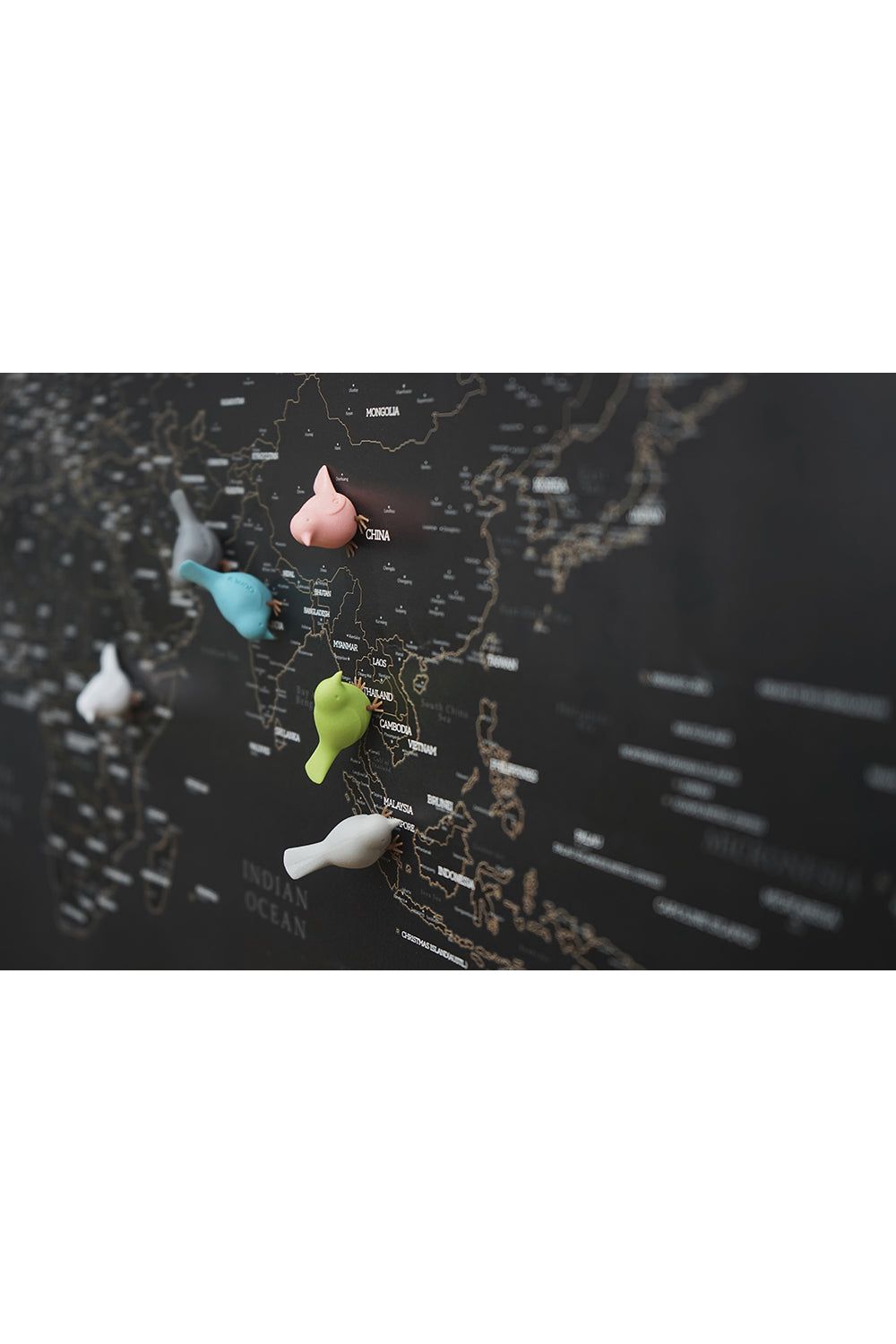 MINI SPARROW MAGNET 6PCS