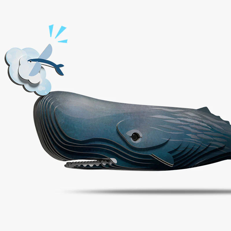 EUGY2 - Sperm Whale