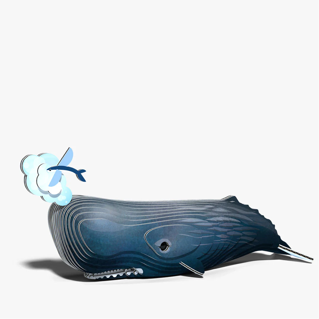 EUGY2 - Sperm Whale