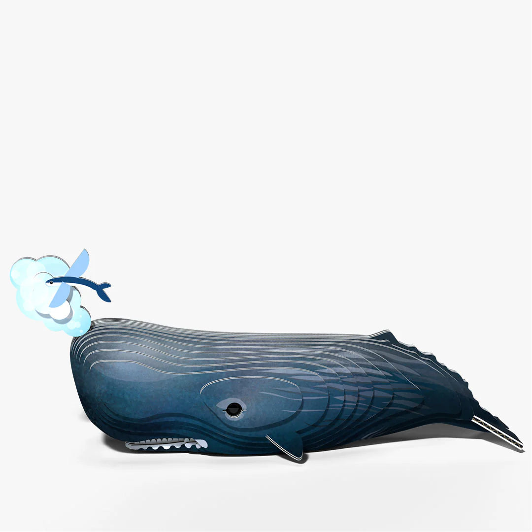 EUGY2 - Sperm Whale