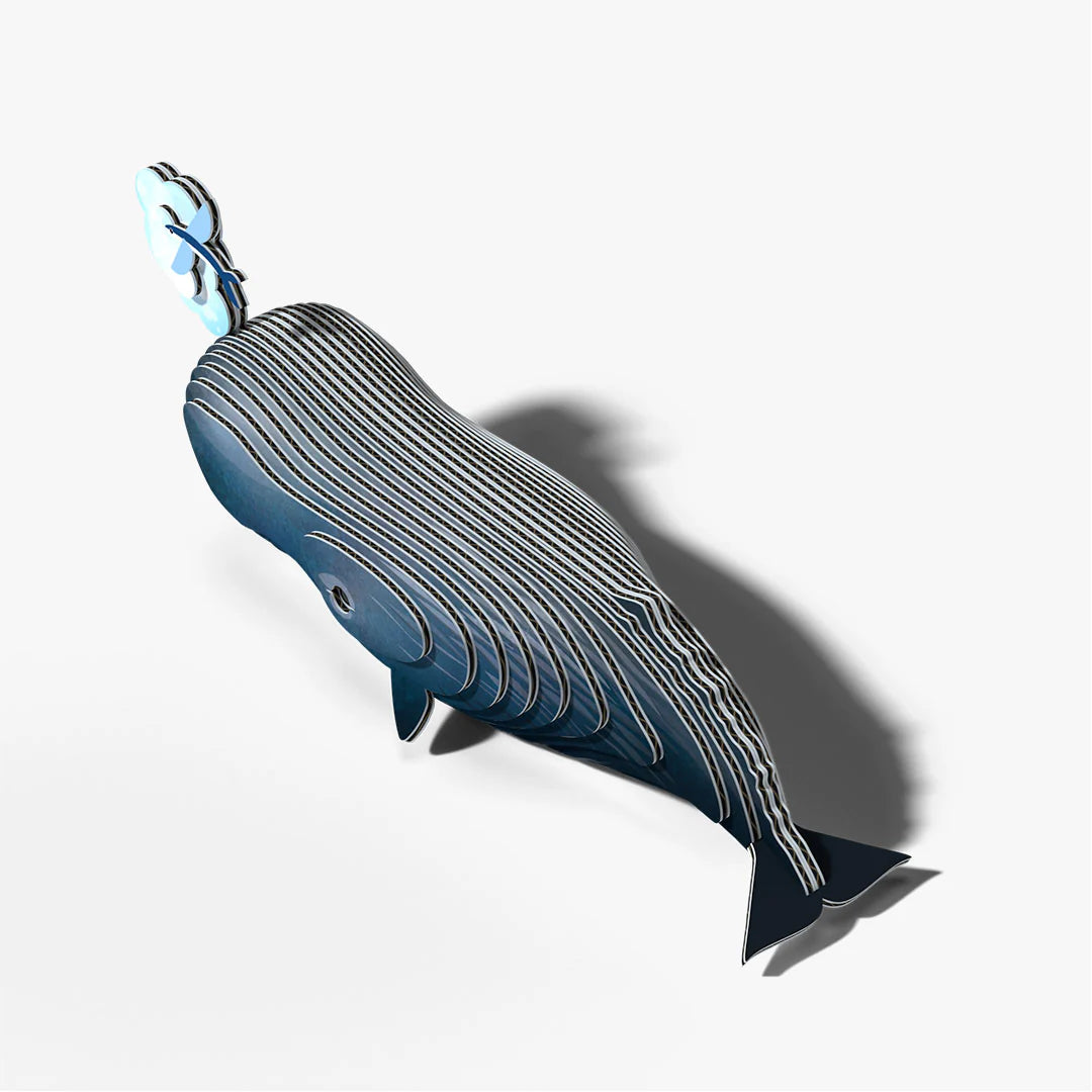 EUGY2 - Sperm Whale