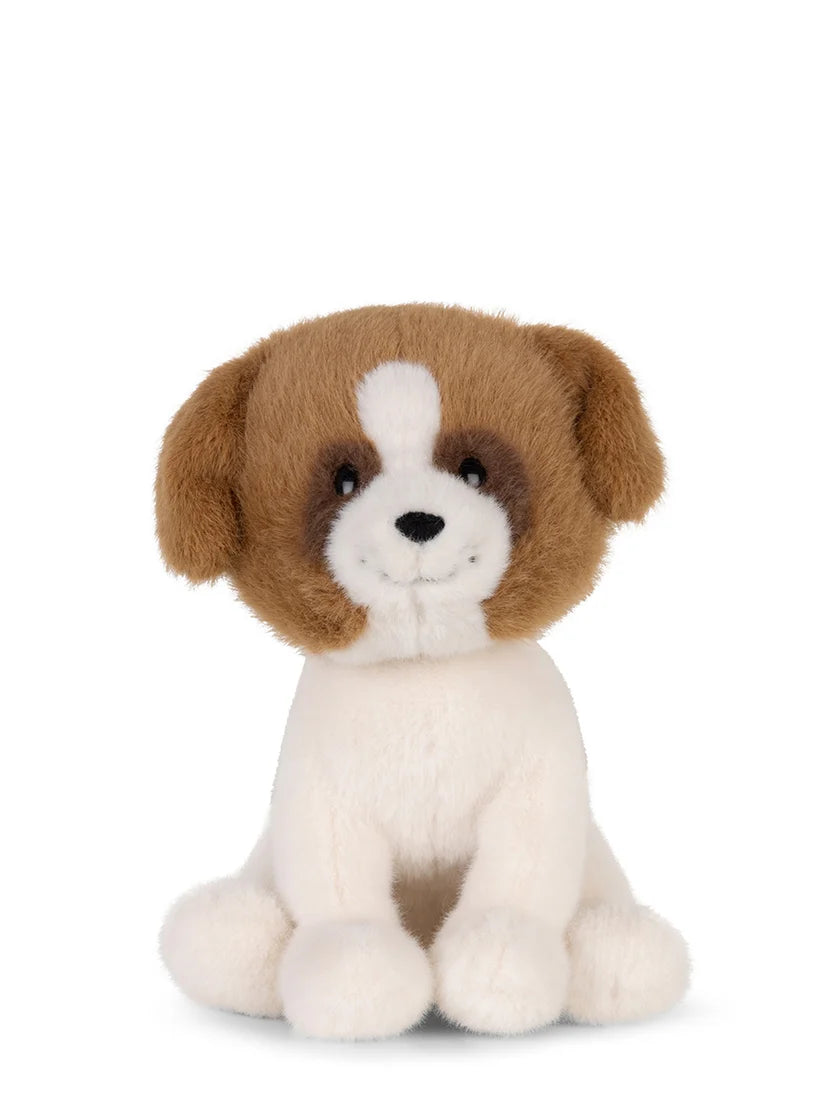 HERMAN the St BERNARD