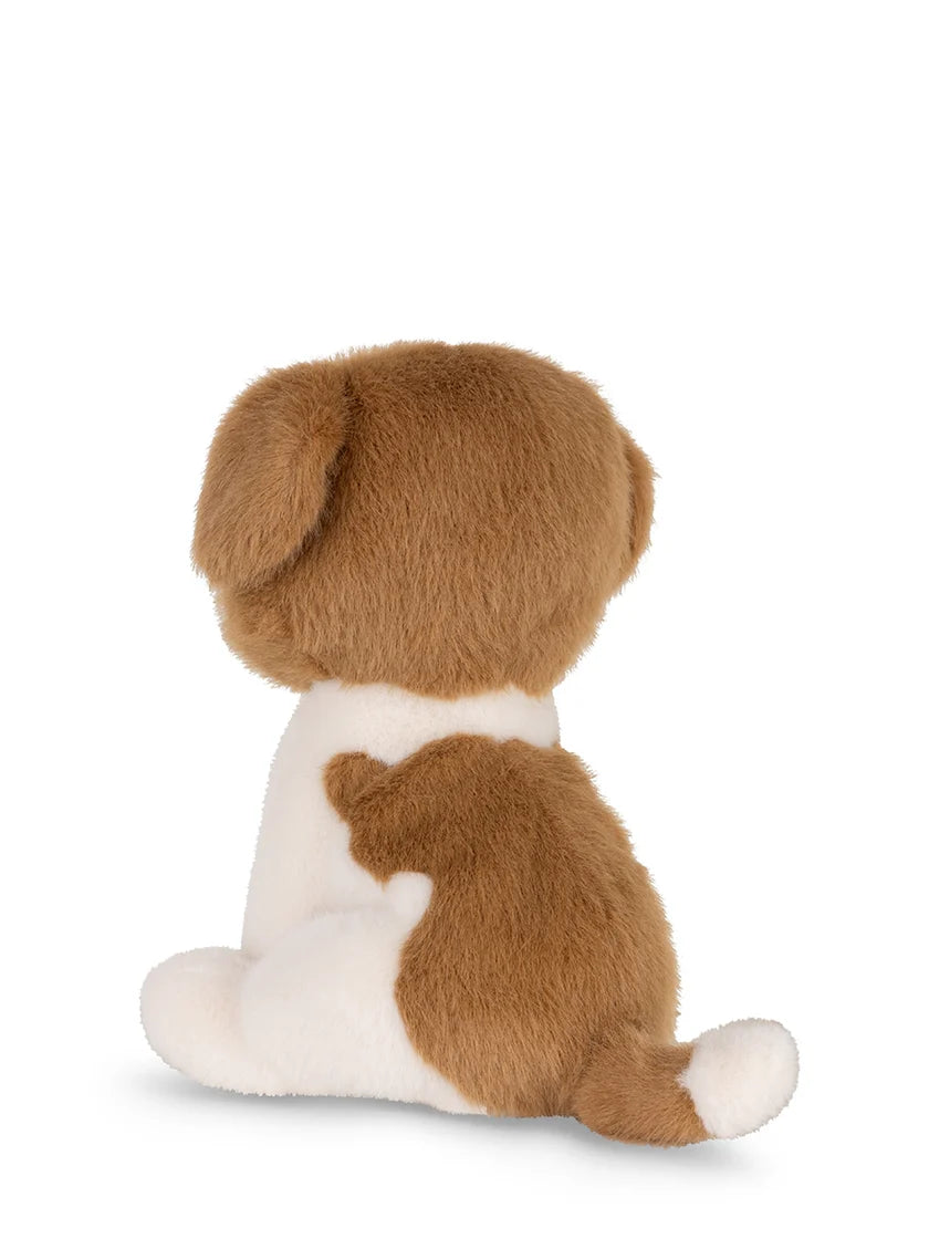 HERMAN the St BERNARD