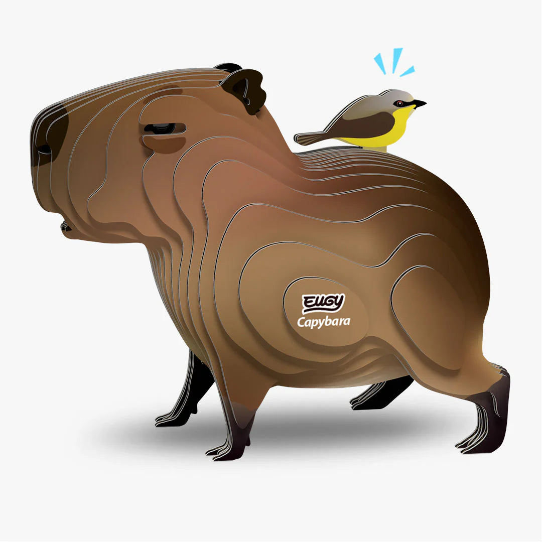 EUGY2 - Capybara
