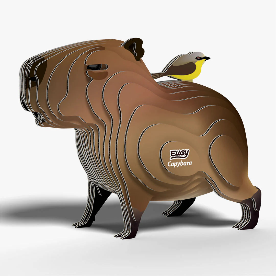 EUGY2 - Capybara