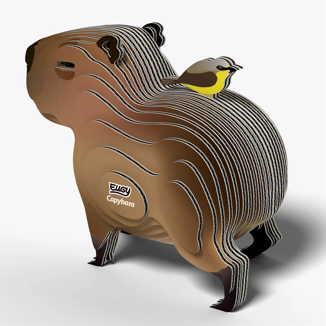 EUGY2 - Capybara