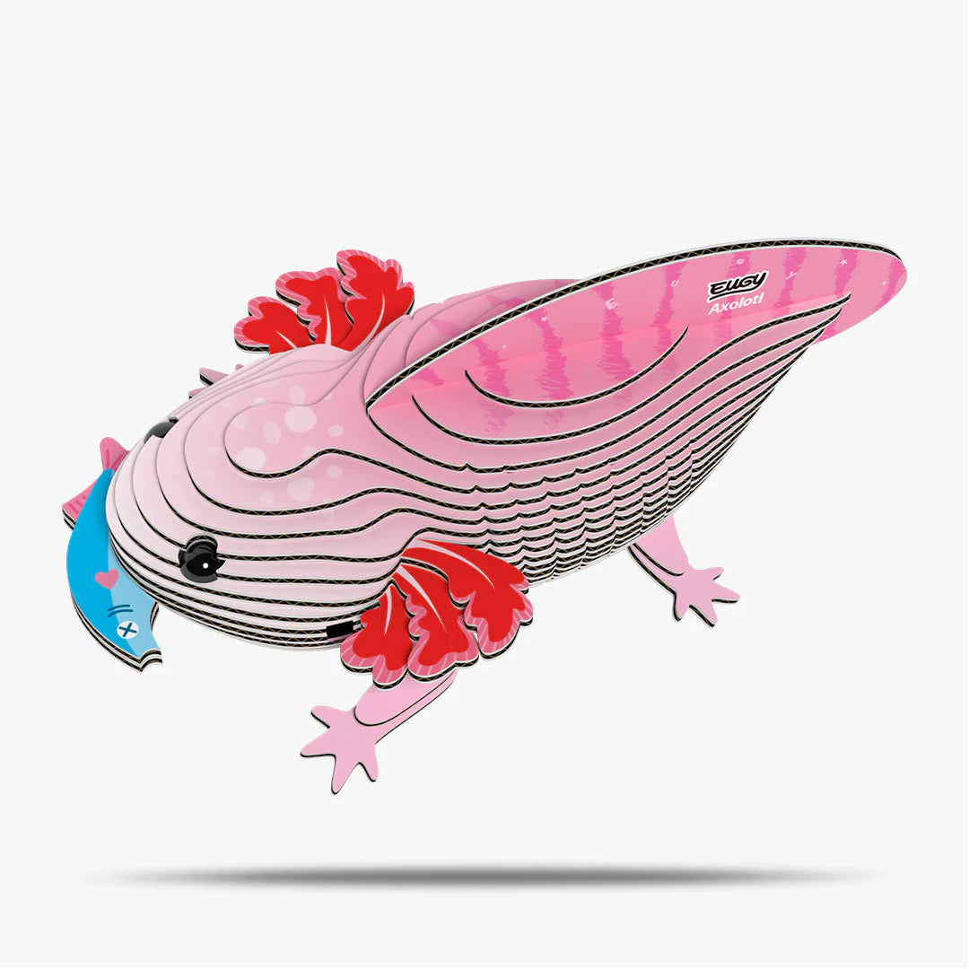 EUGY2 - Axolotl