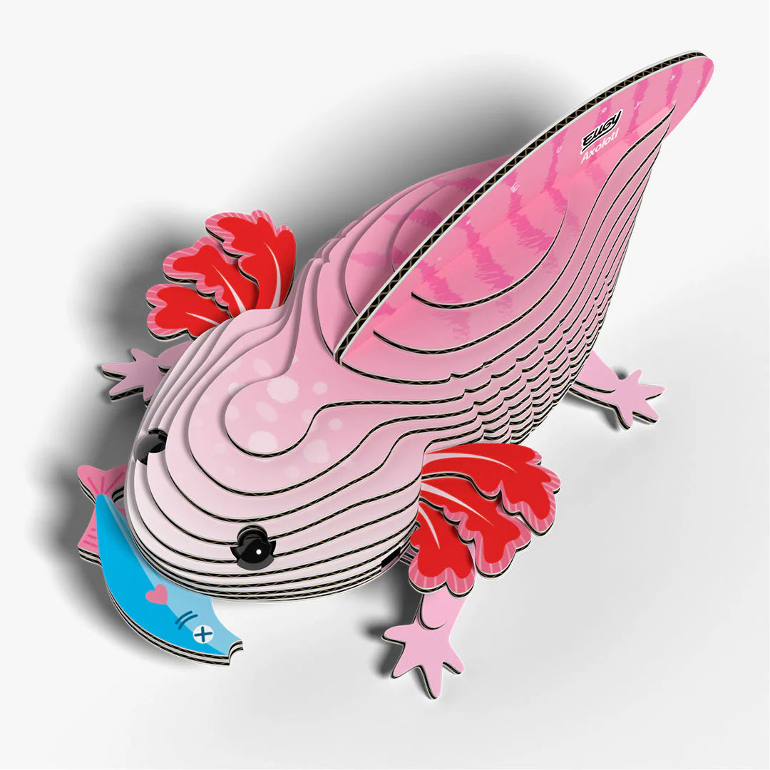EUGY2 - Axolotl