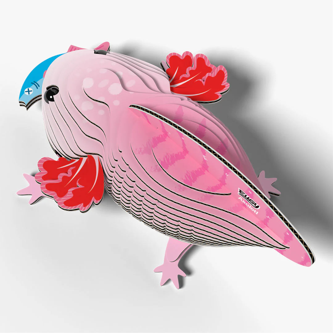 EUGY2 - Axolotl
