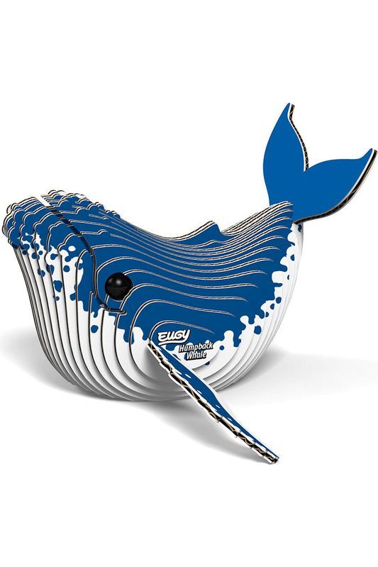 EUGY2 - Humpback Whale
