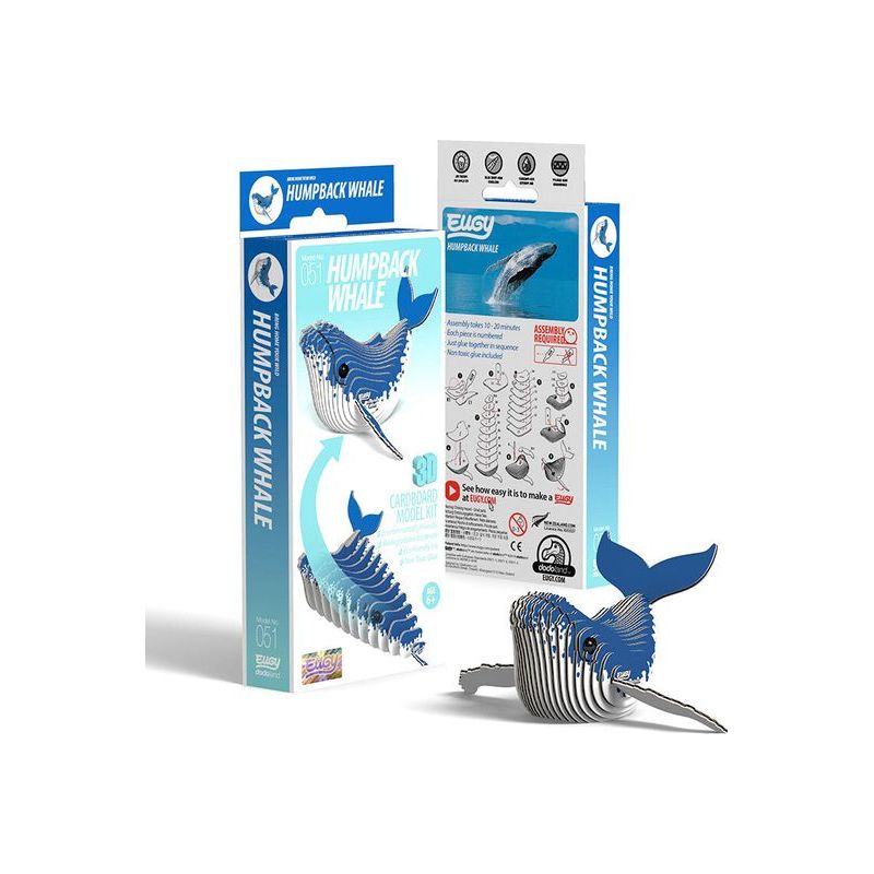EUGY2 - Humpback Whale