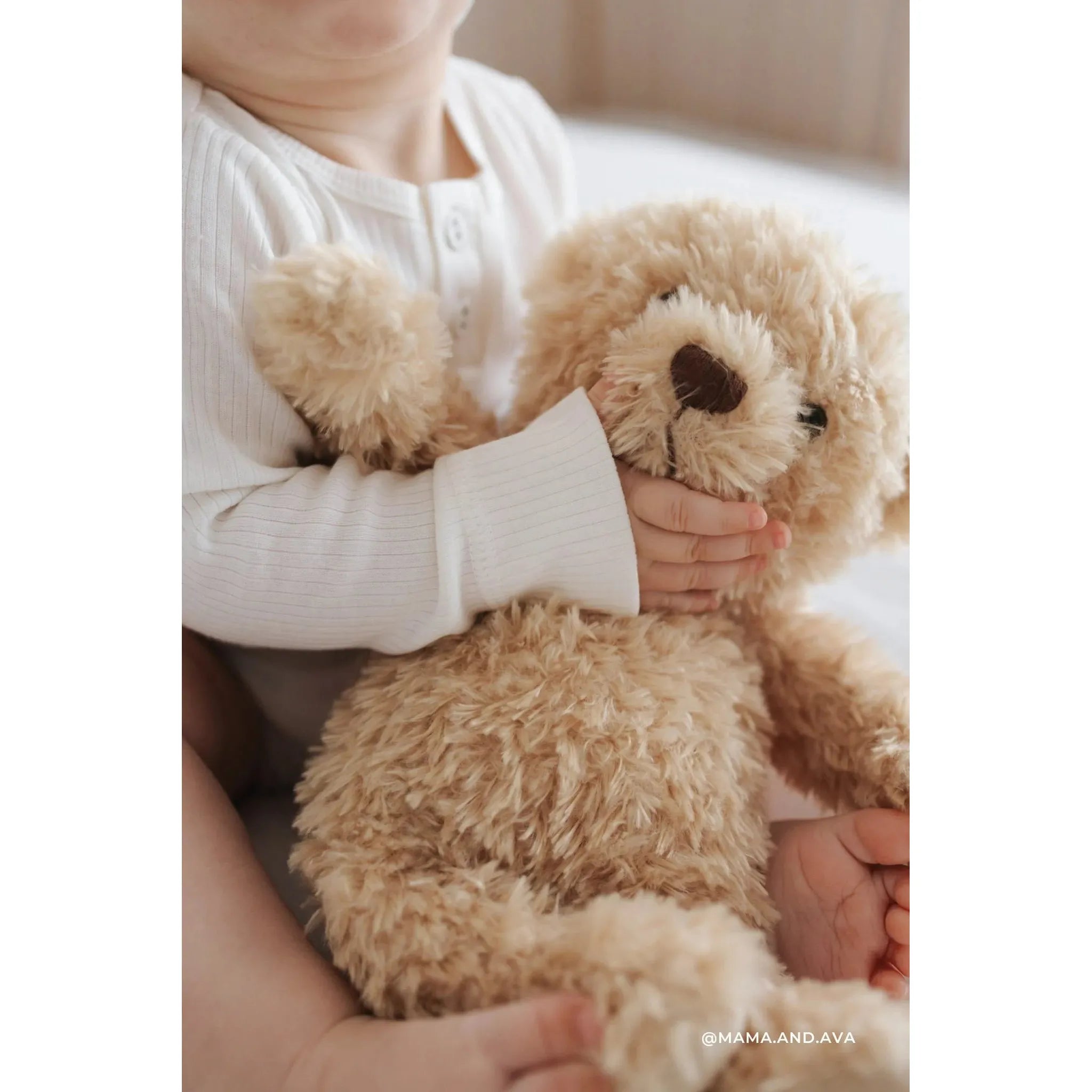 Arthur the Bear