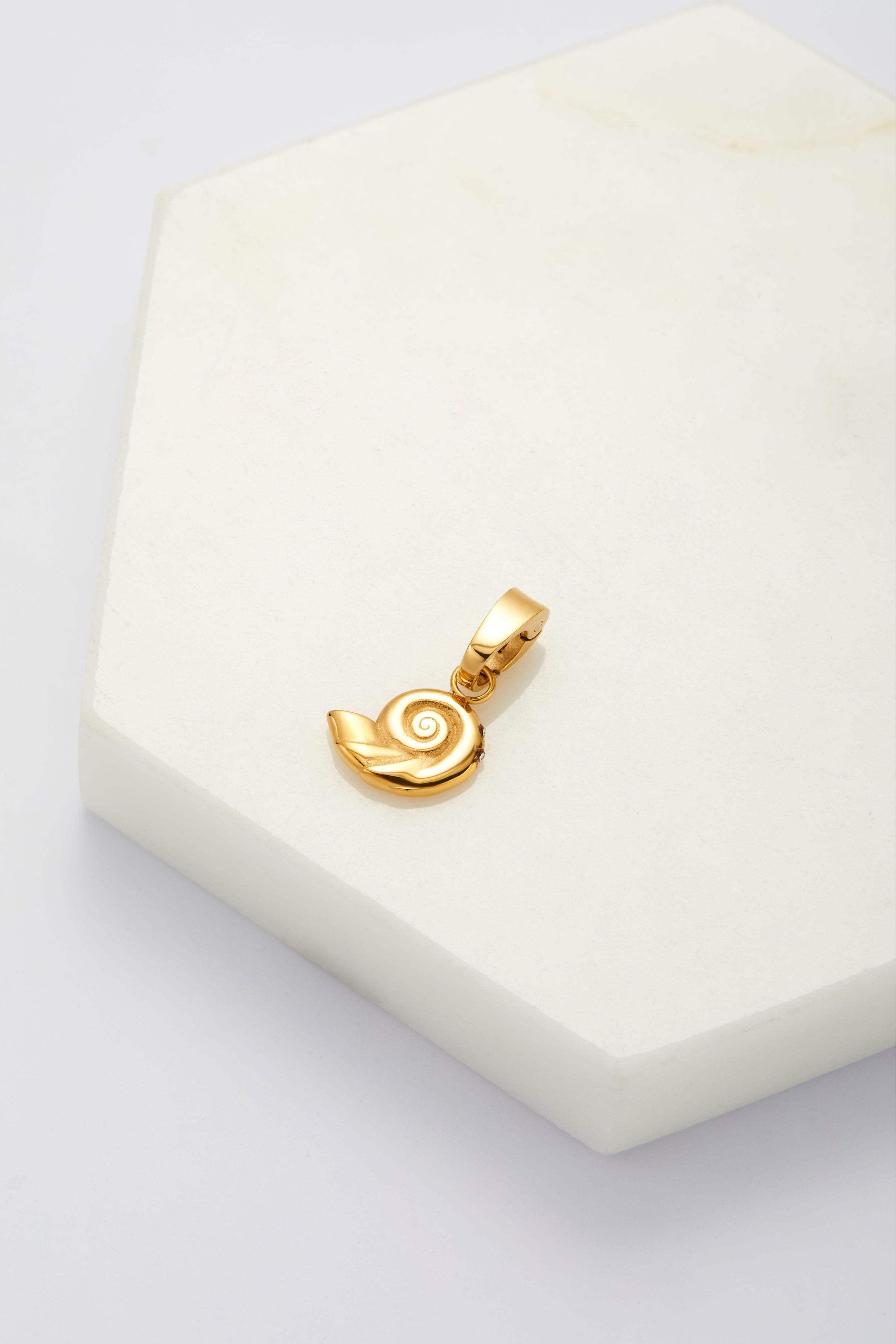 Shell Charm