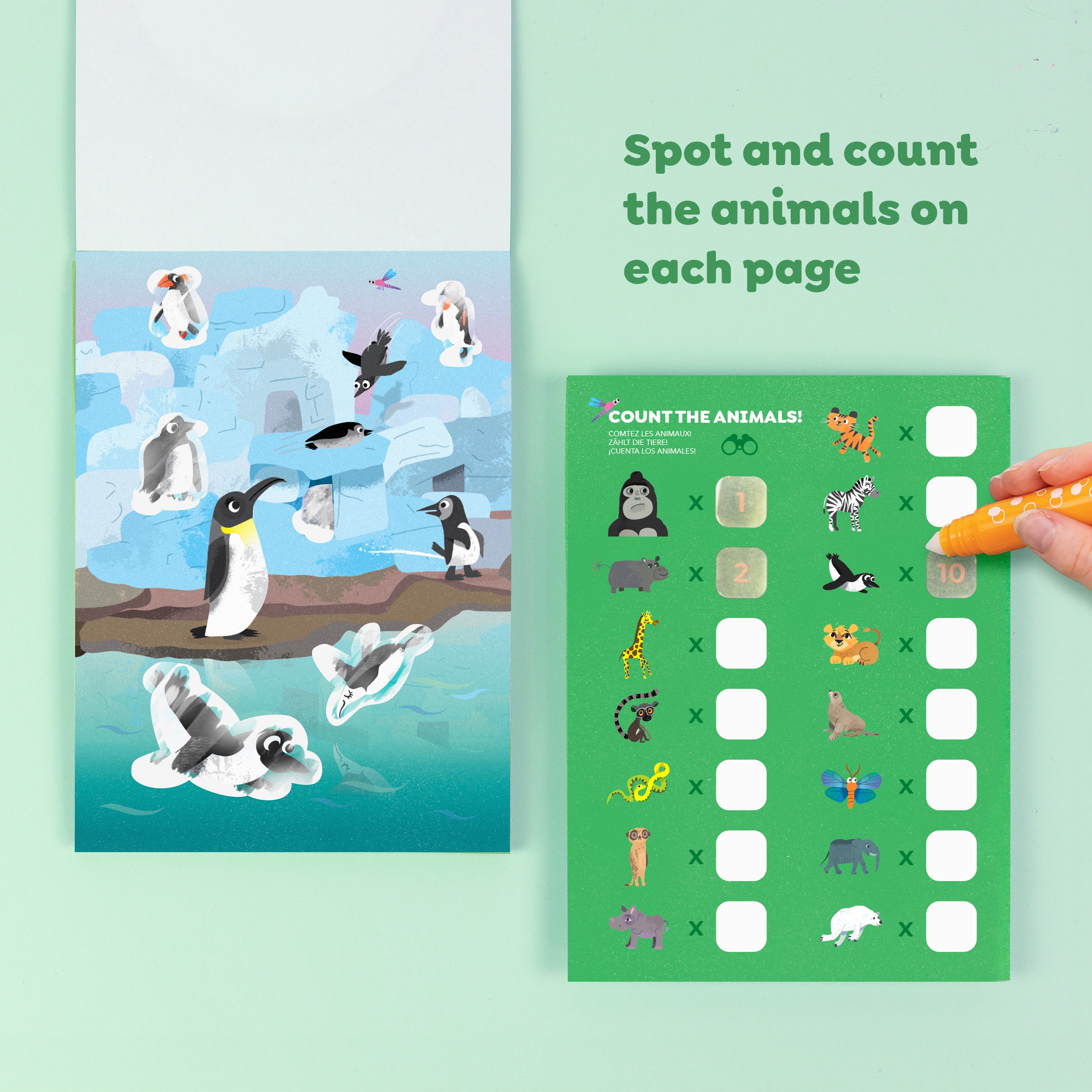 Colour Surprise - Zoo Adventures