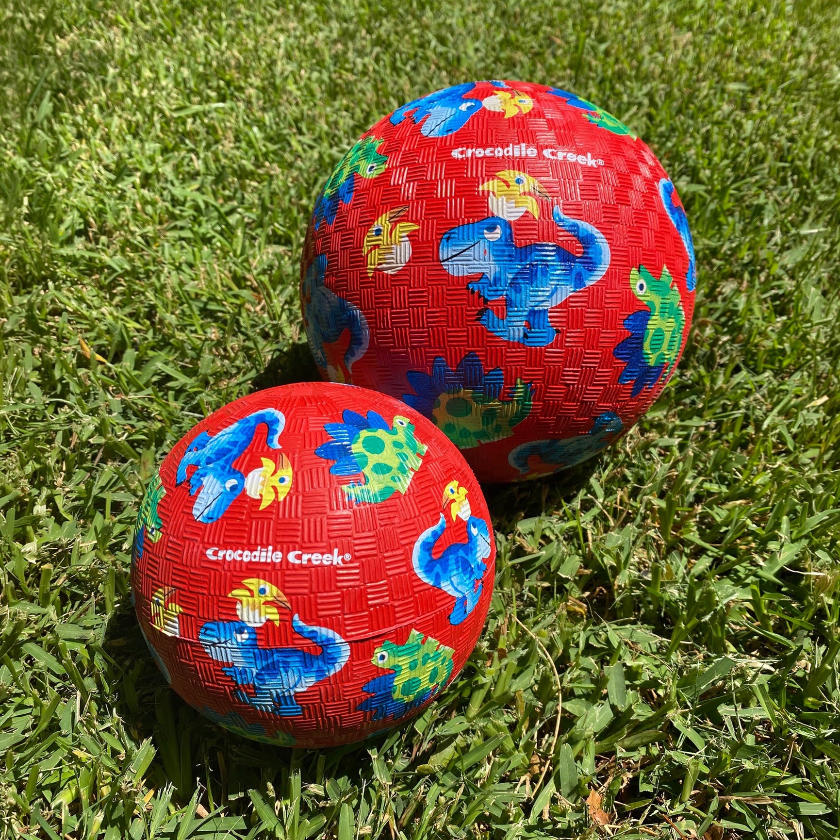 Playground Ball 5 Inch - Dino Friends (Red)