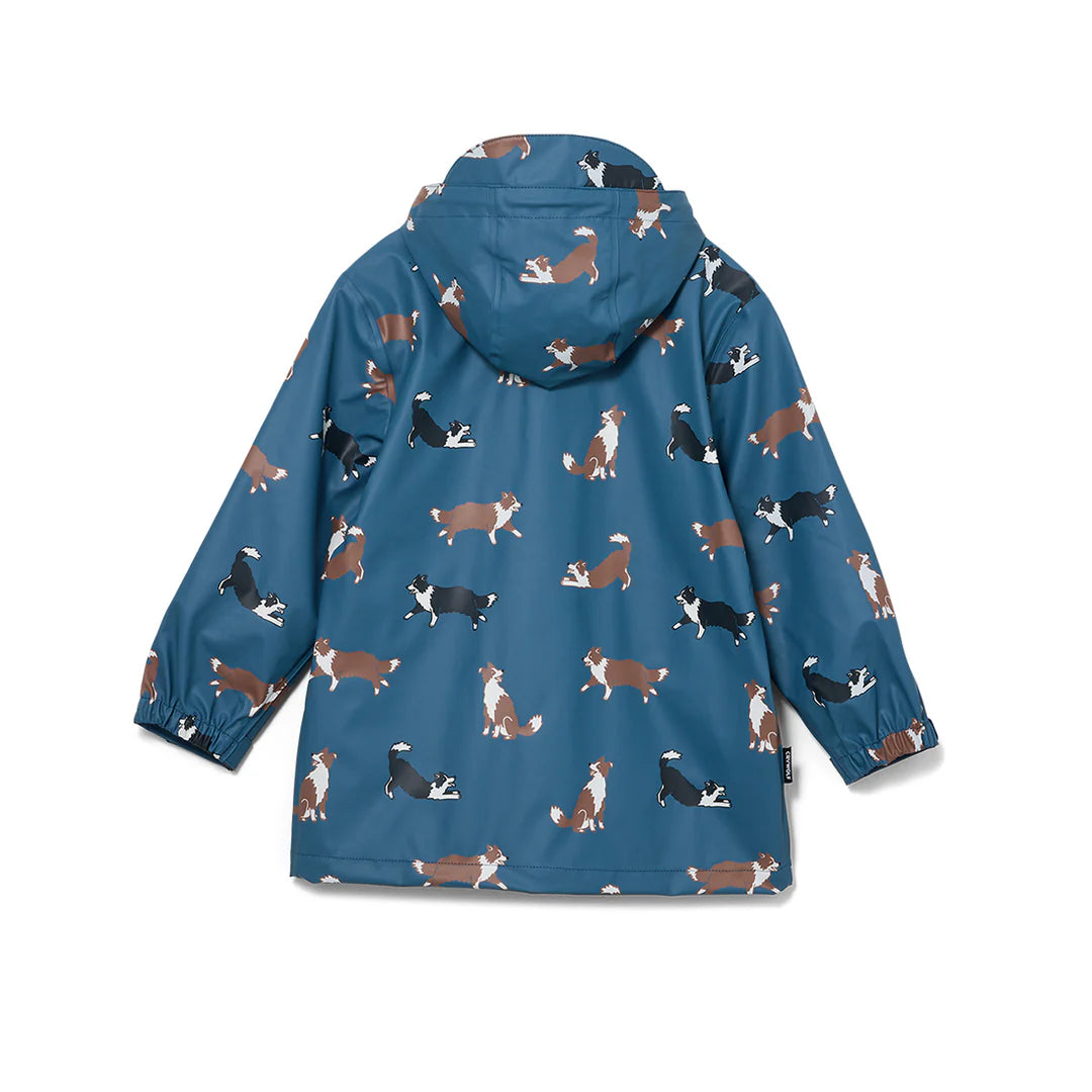 Play Jacket - Collies