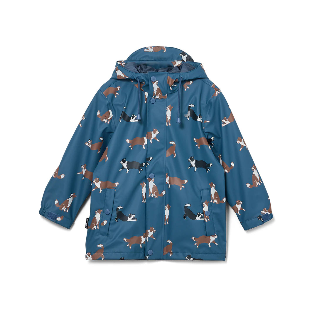 Play Jacket - Collies