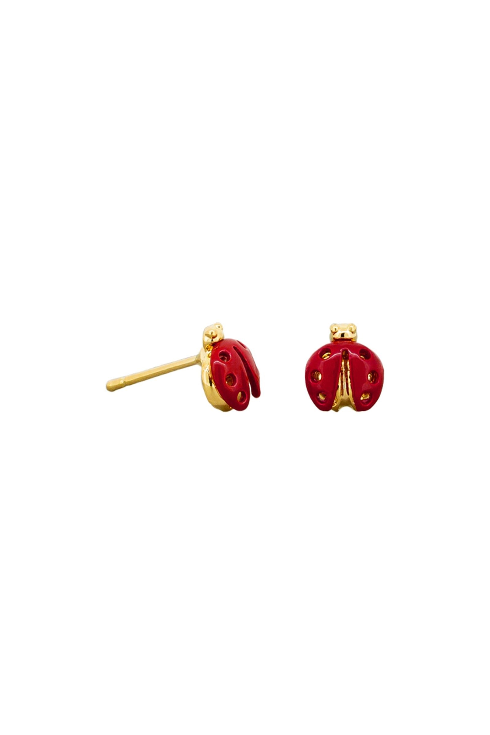 Red Ladybird Studs