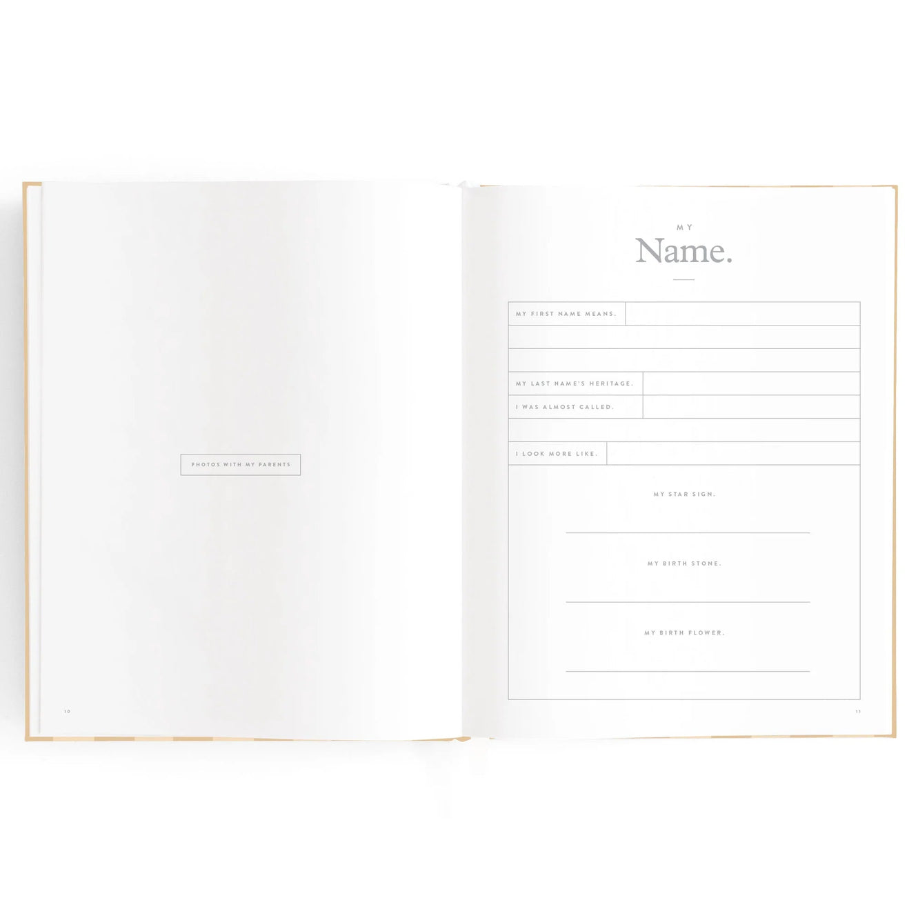 Baby Book - Coffee Stripe