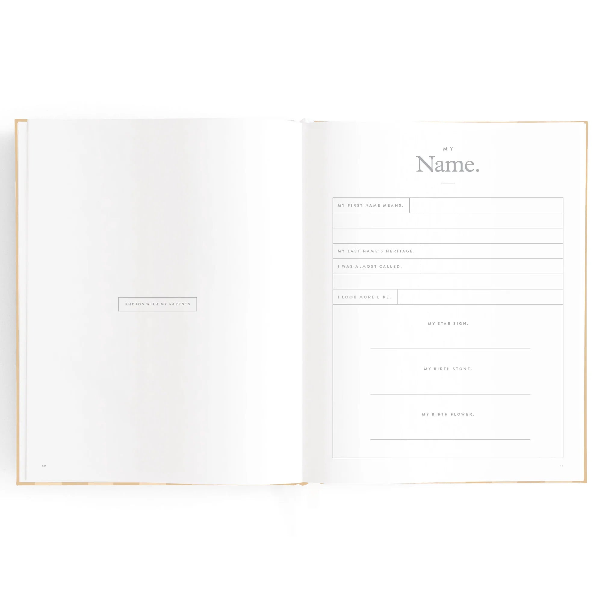 Baby Book - Coffee Stripe
