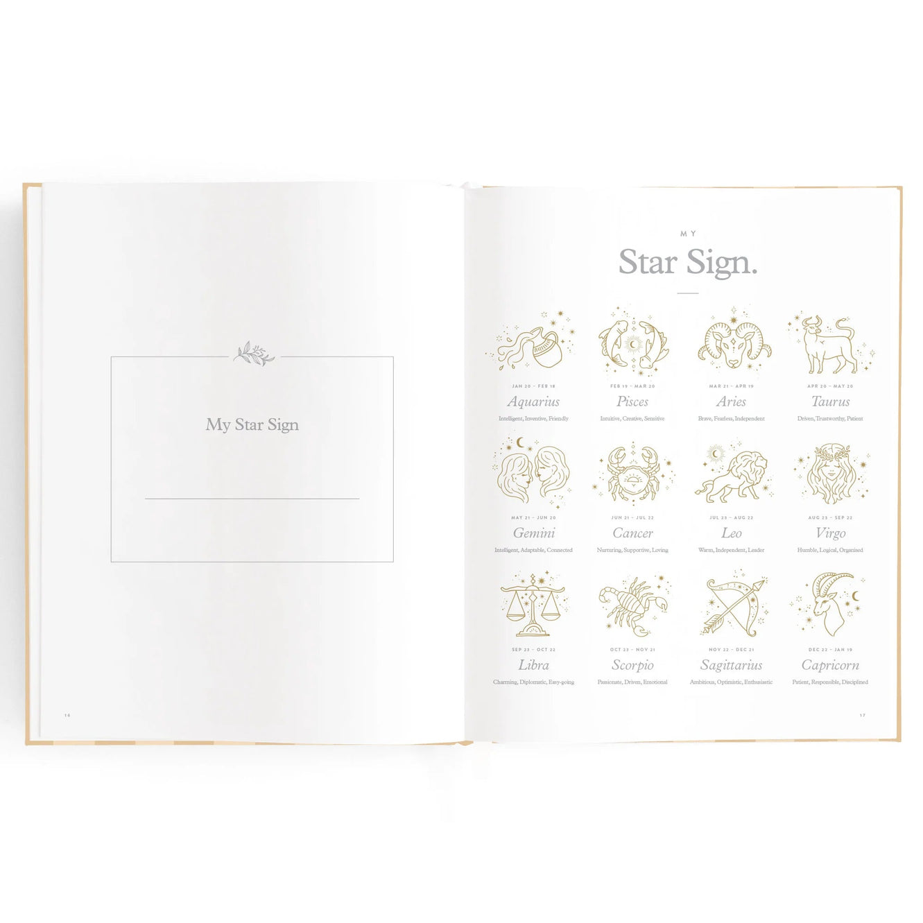 Baby Book - Coffee Stripe