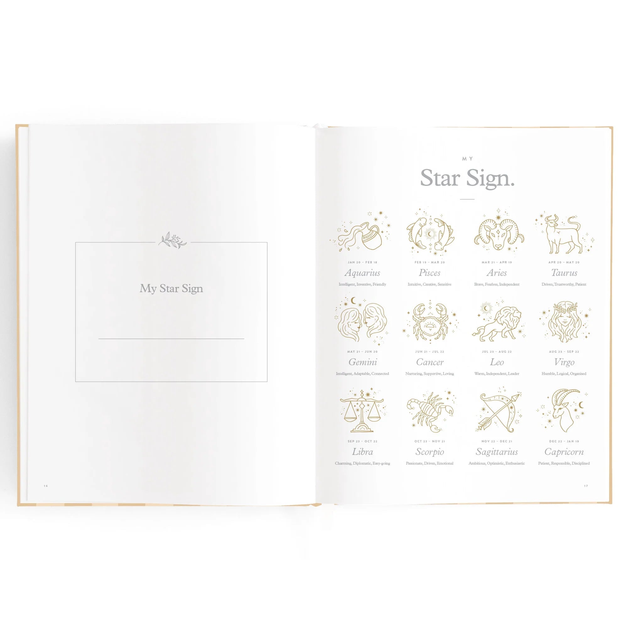 Baby Book - Coffee Stripe