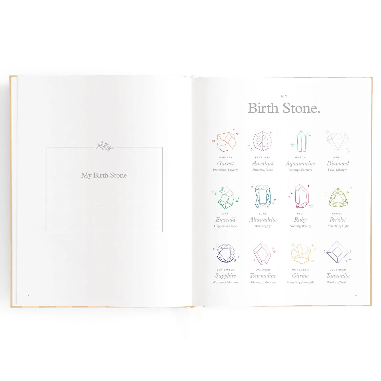 Baby Book - Coffee Stripe