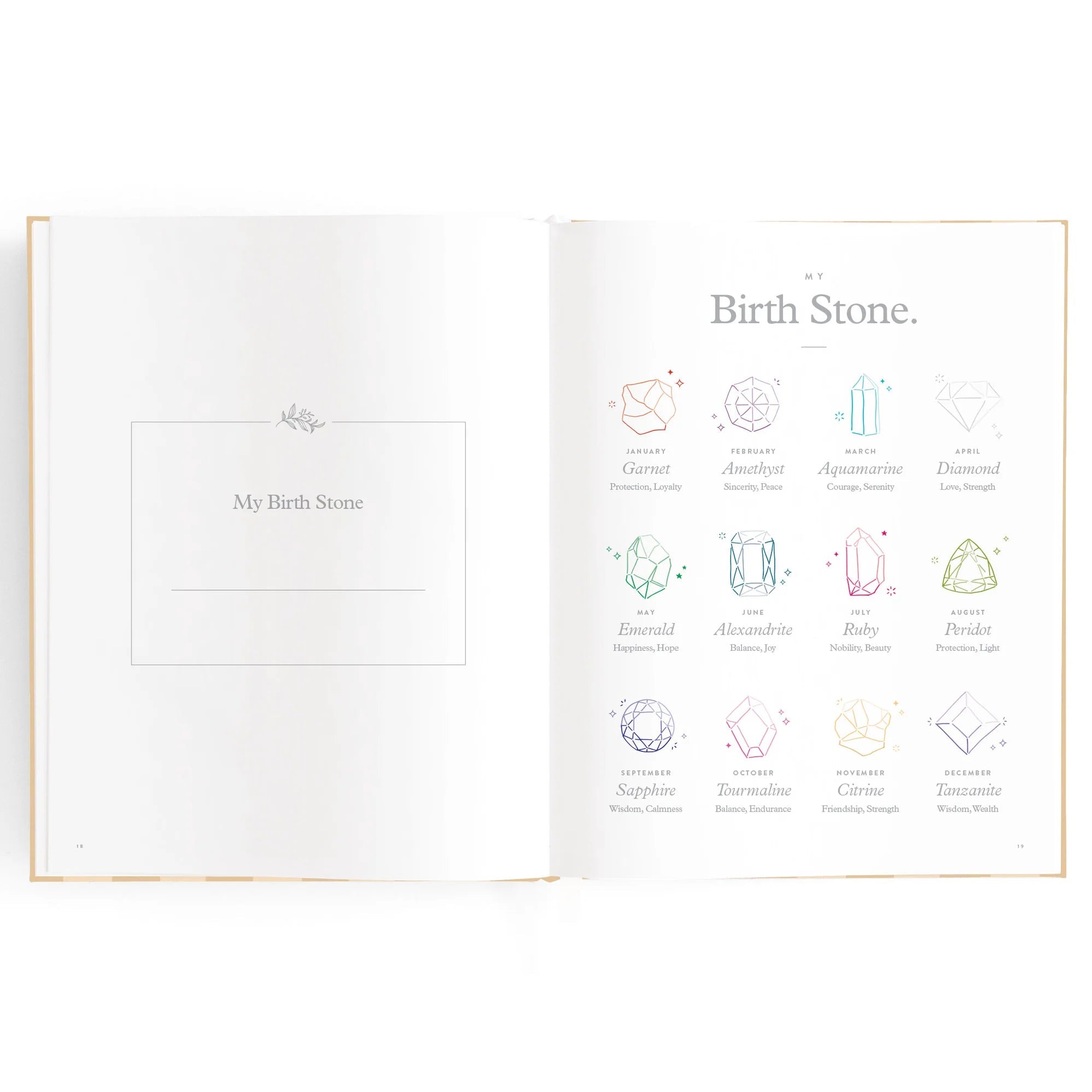 Baby Book - Coffee Stripe