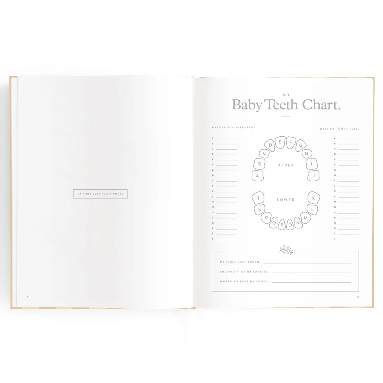 Baby Book - Coffee Stripe