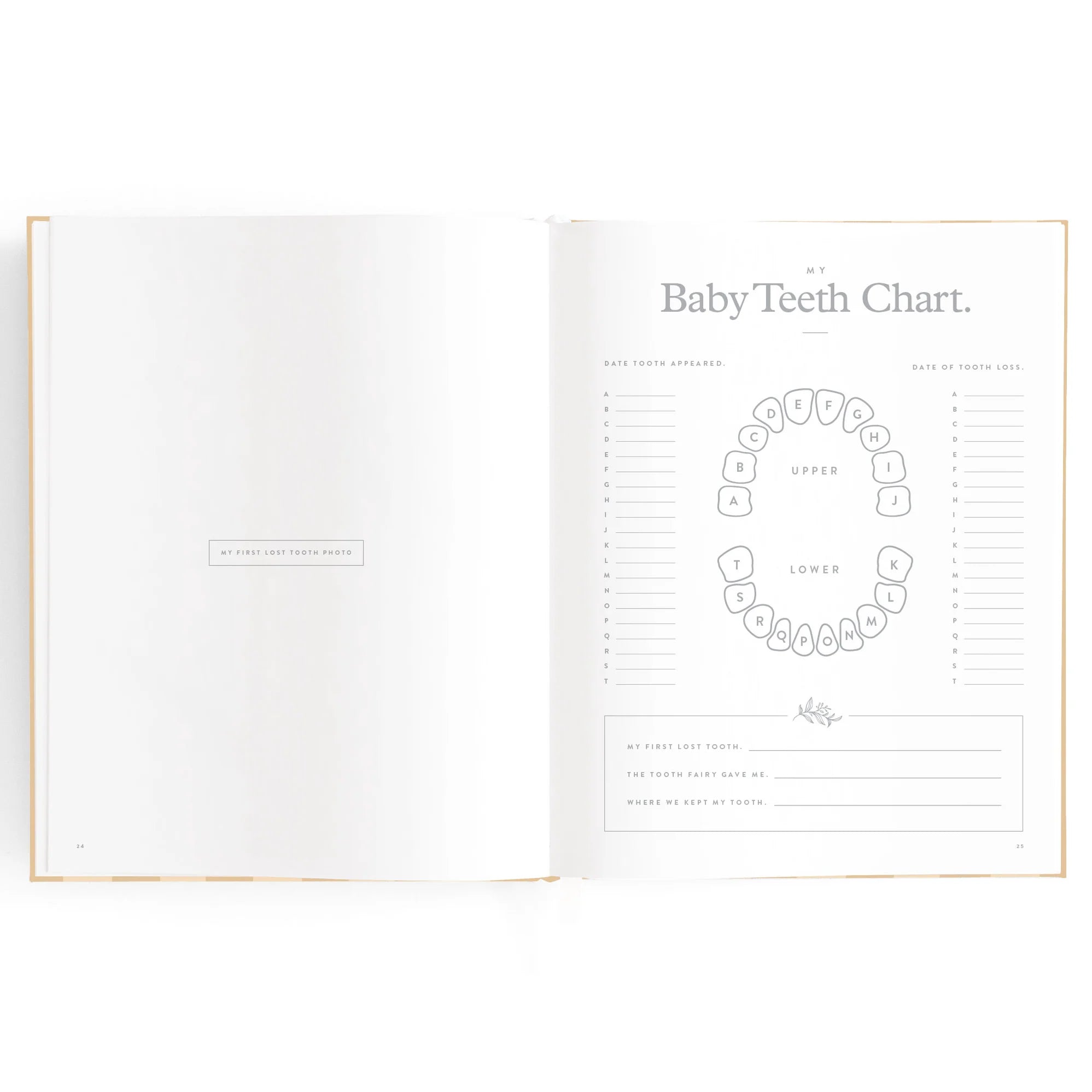 Baby Book - Coffee Stripe