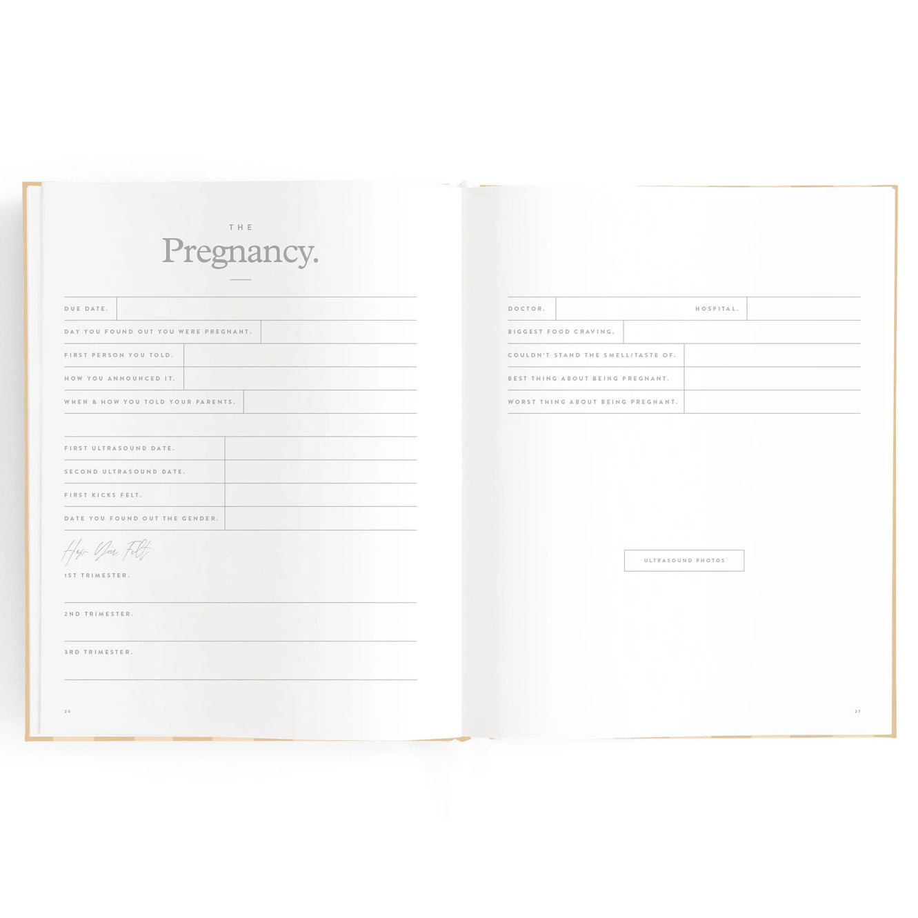Baby Book - Coffee Stripe