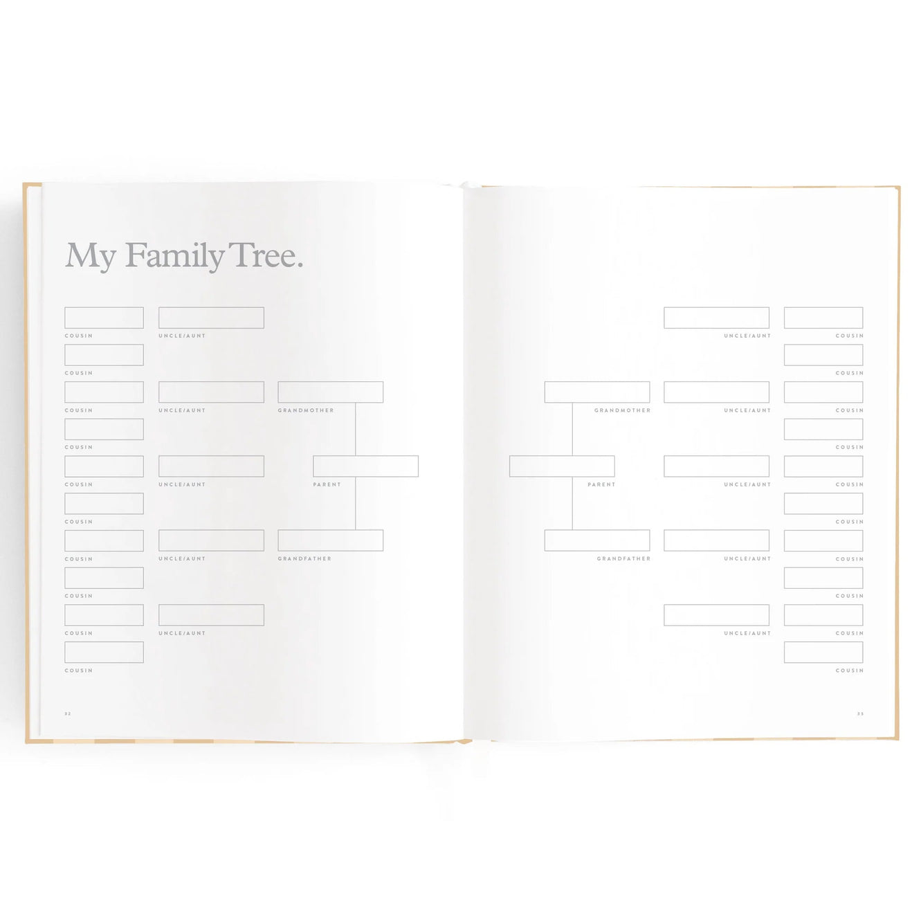 Baby Book - Coffee Stripe