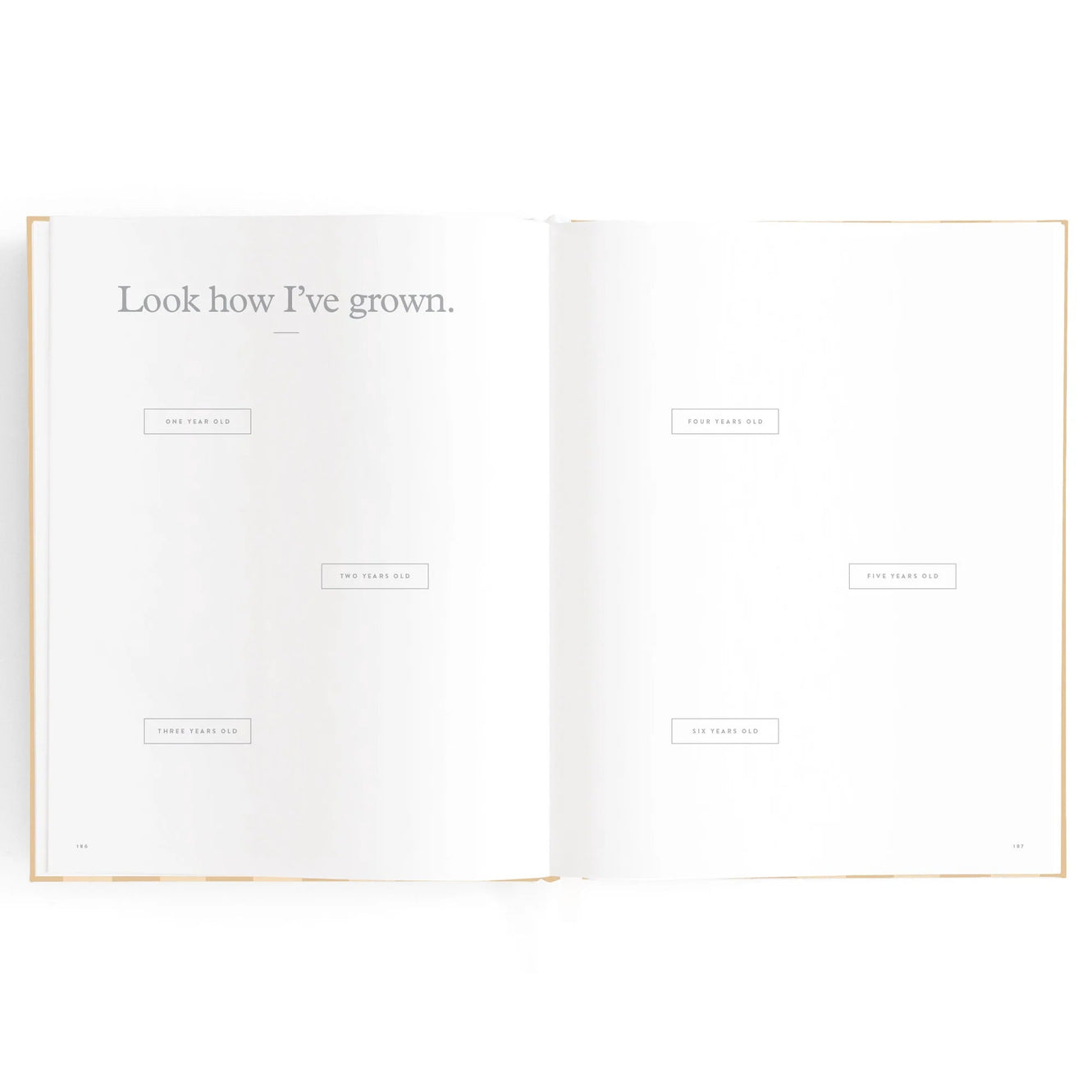 Baby Book - Coffee Stripe