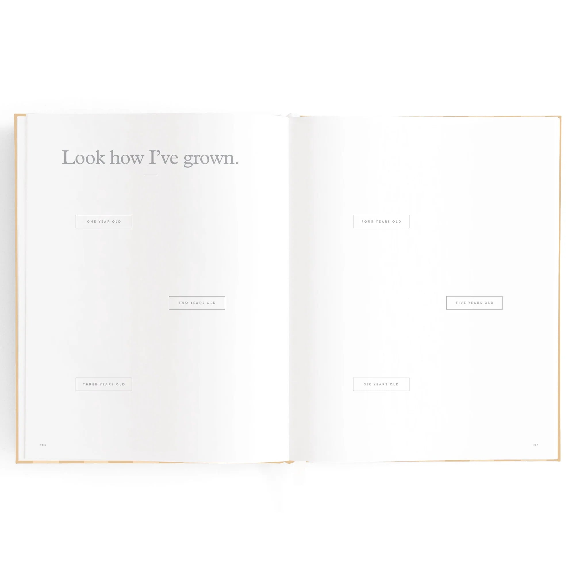 Baby Book - Coffee Stripe
