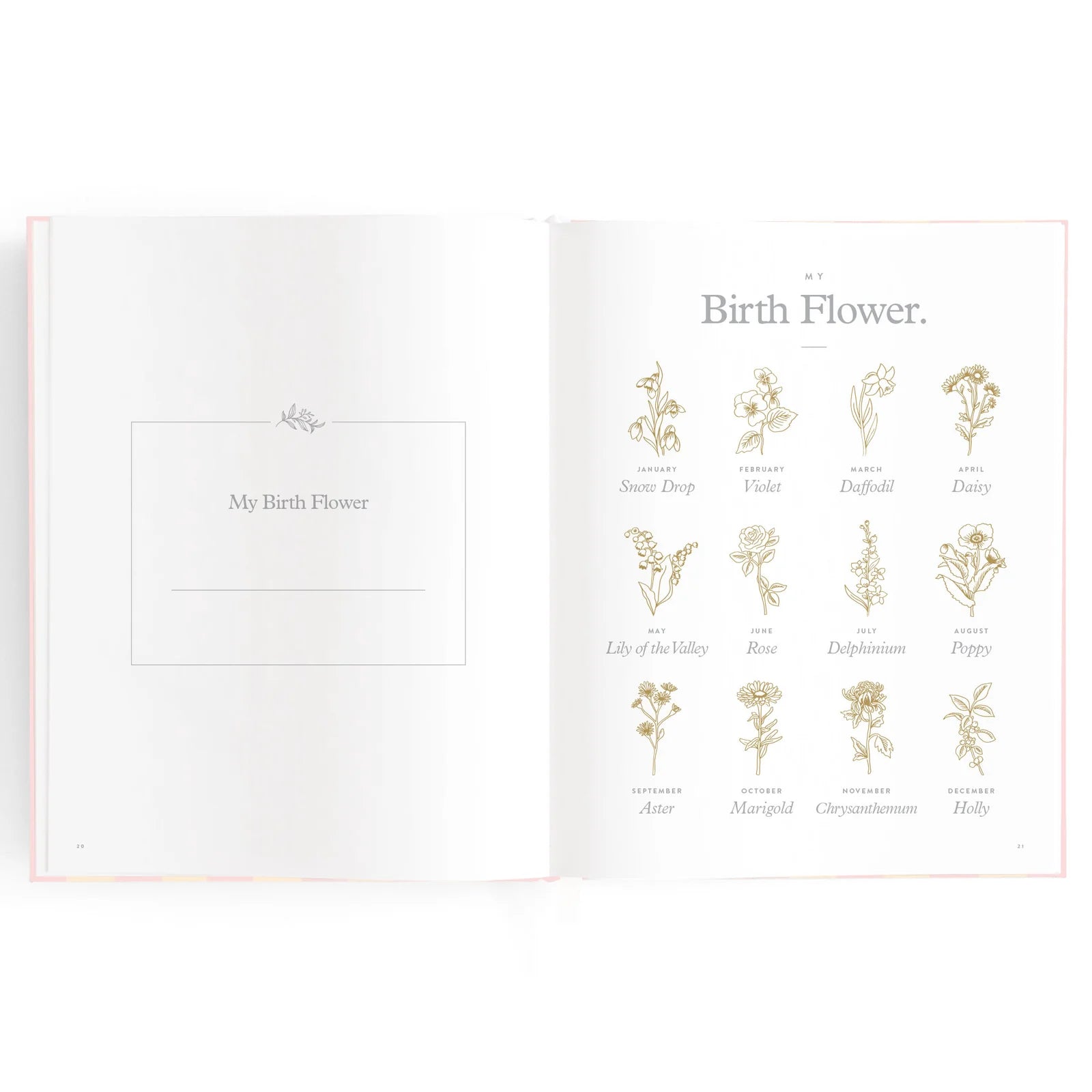 Baby Book - Pink Ducks
