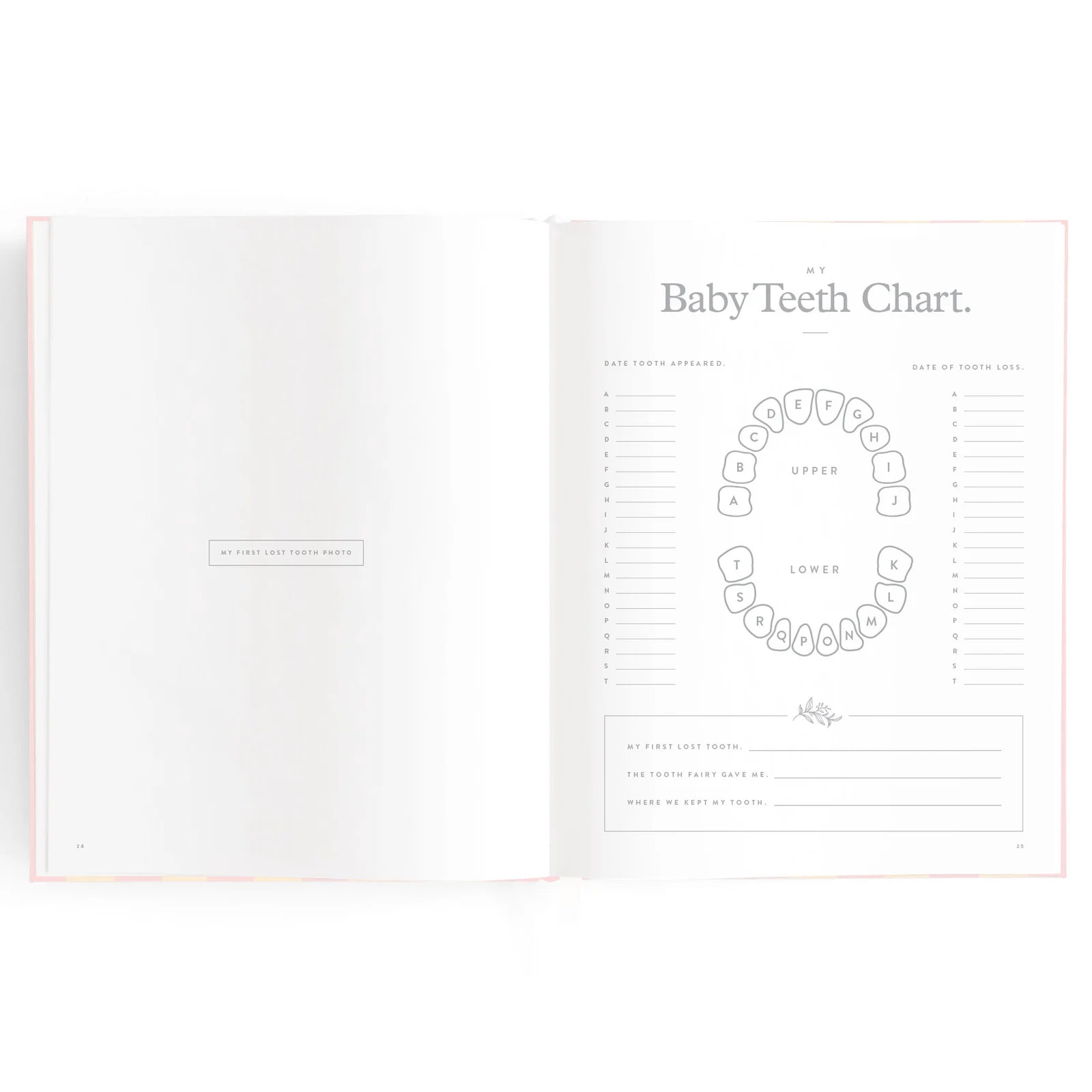 Baby Book - Pink Ducks