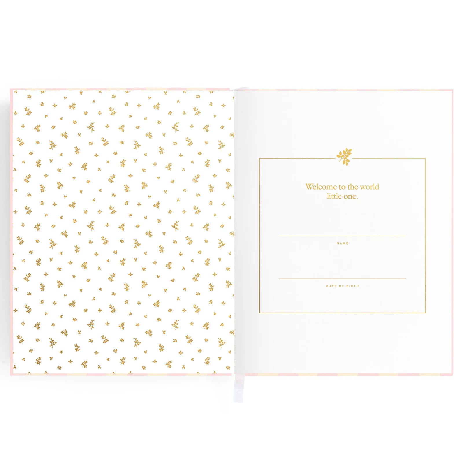 Baby Book - Pink Ducks