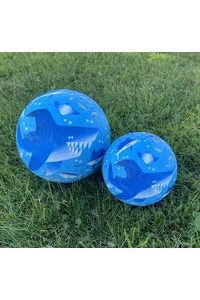 Playground Ball 5 Inch - Shark Reef