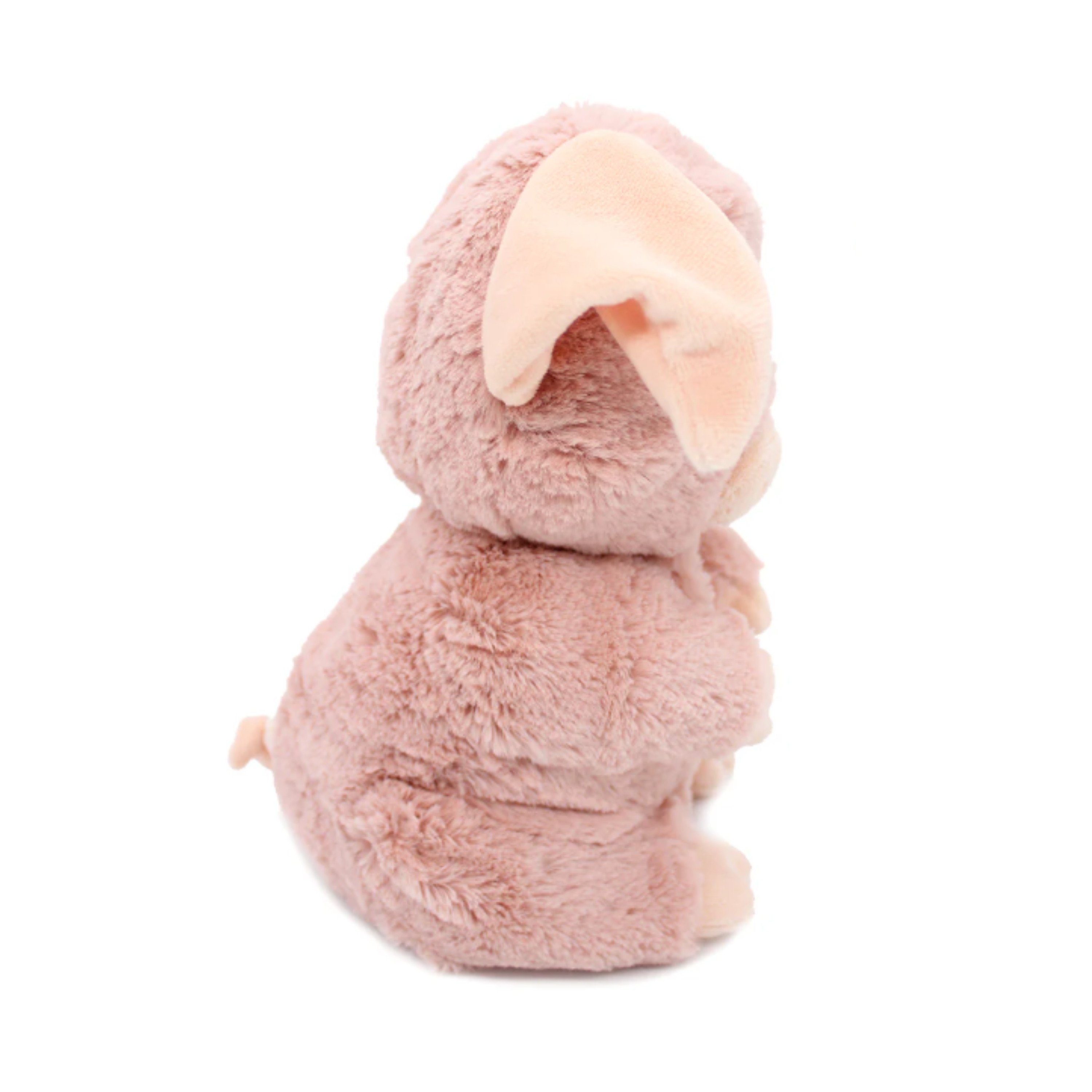 Barkeliou the Pig- Mum and Baby