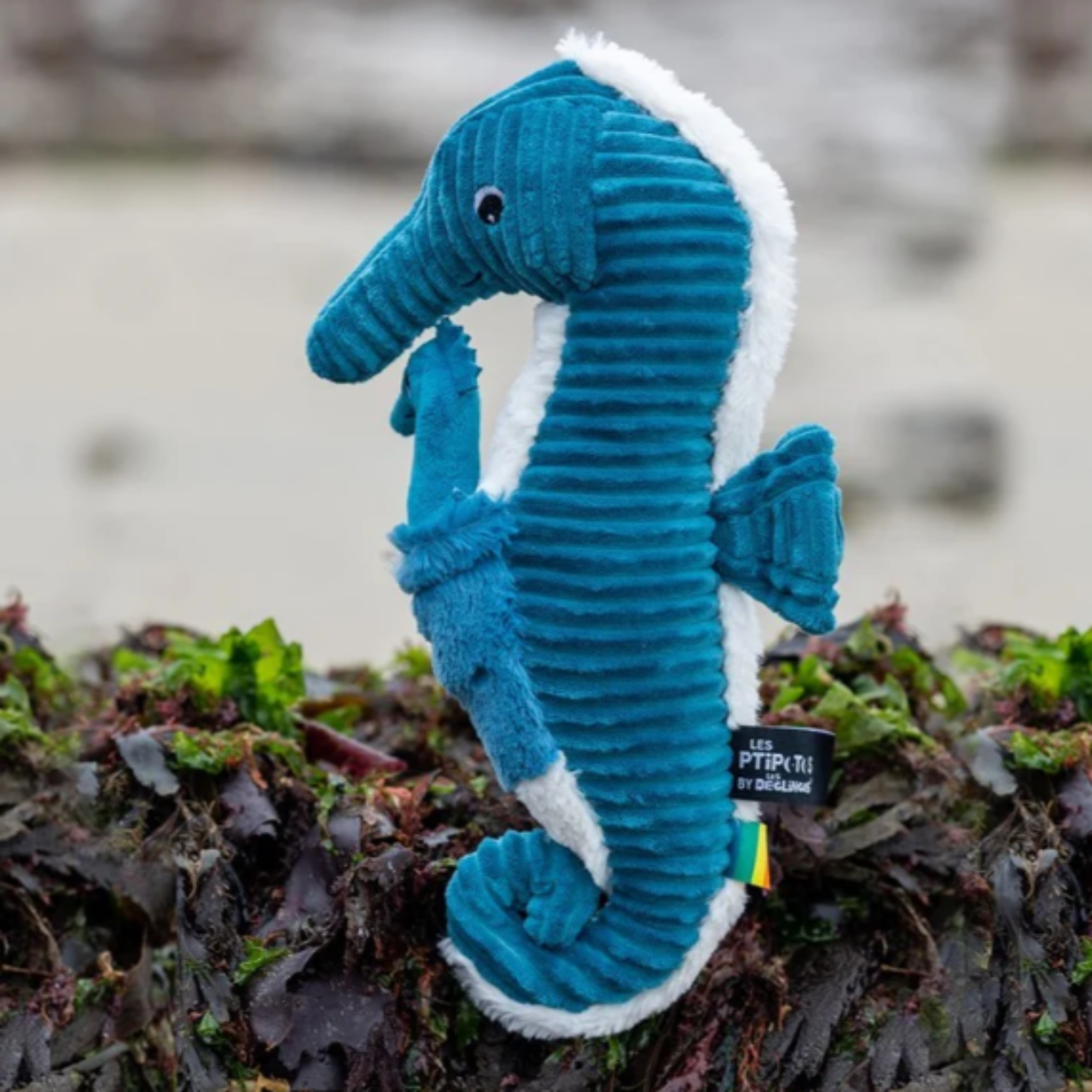 Papadpi the Seahorse- Dad and Baby - Blue