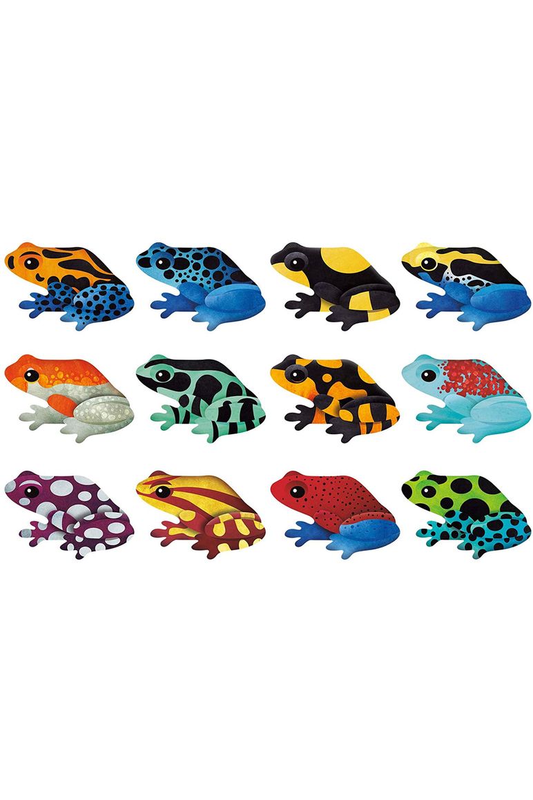 Shaped Memory Match - Frogs