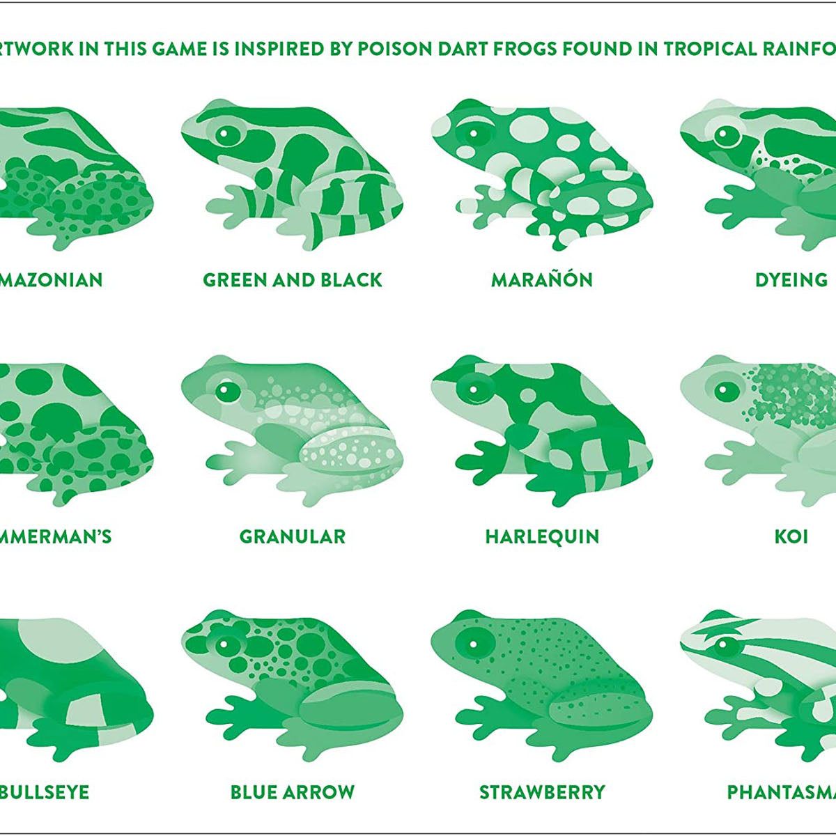 Shaped Memory Match - Frogs
