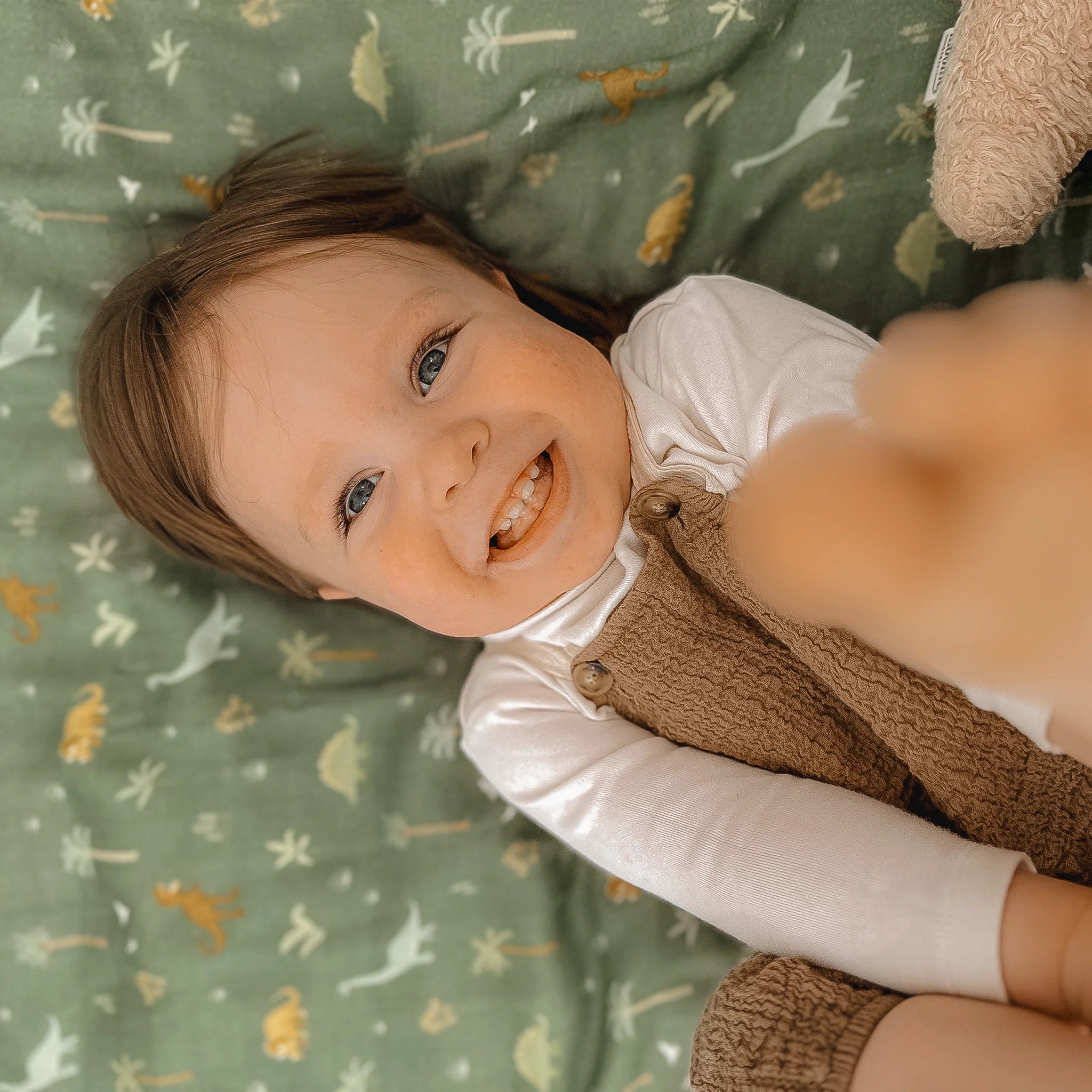 Dino Organic Muslin Wrap