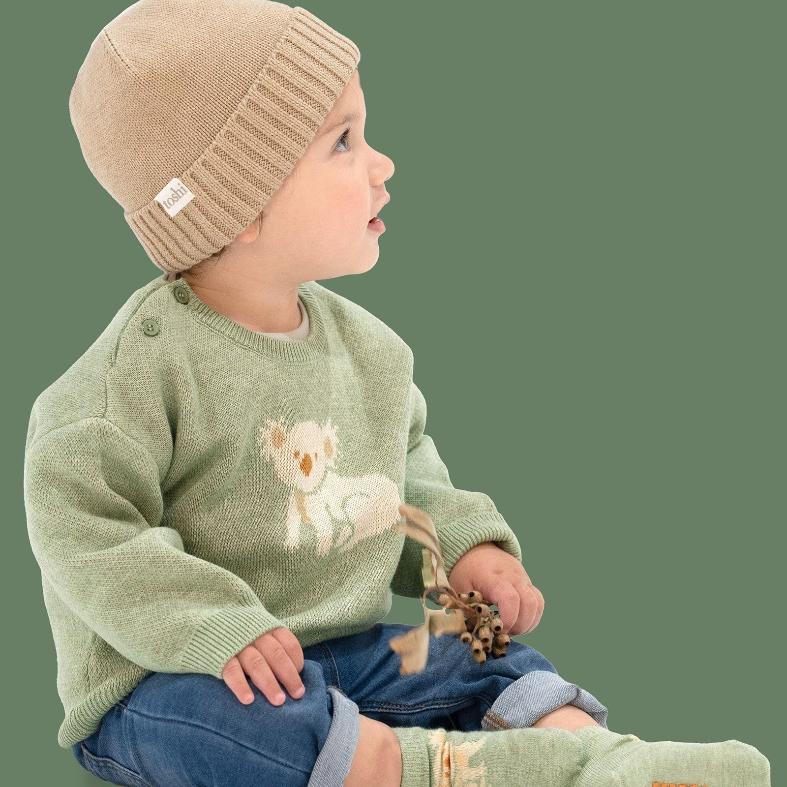 Organic Pullover Storytime - Koala