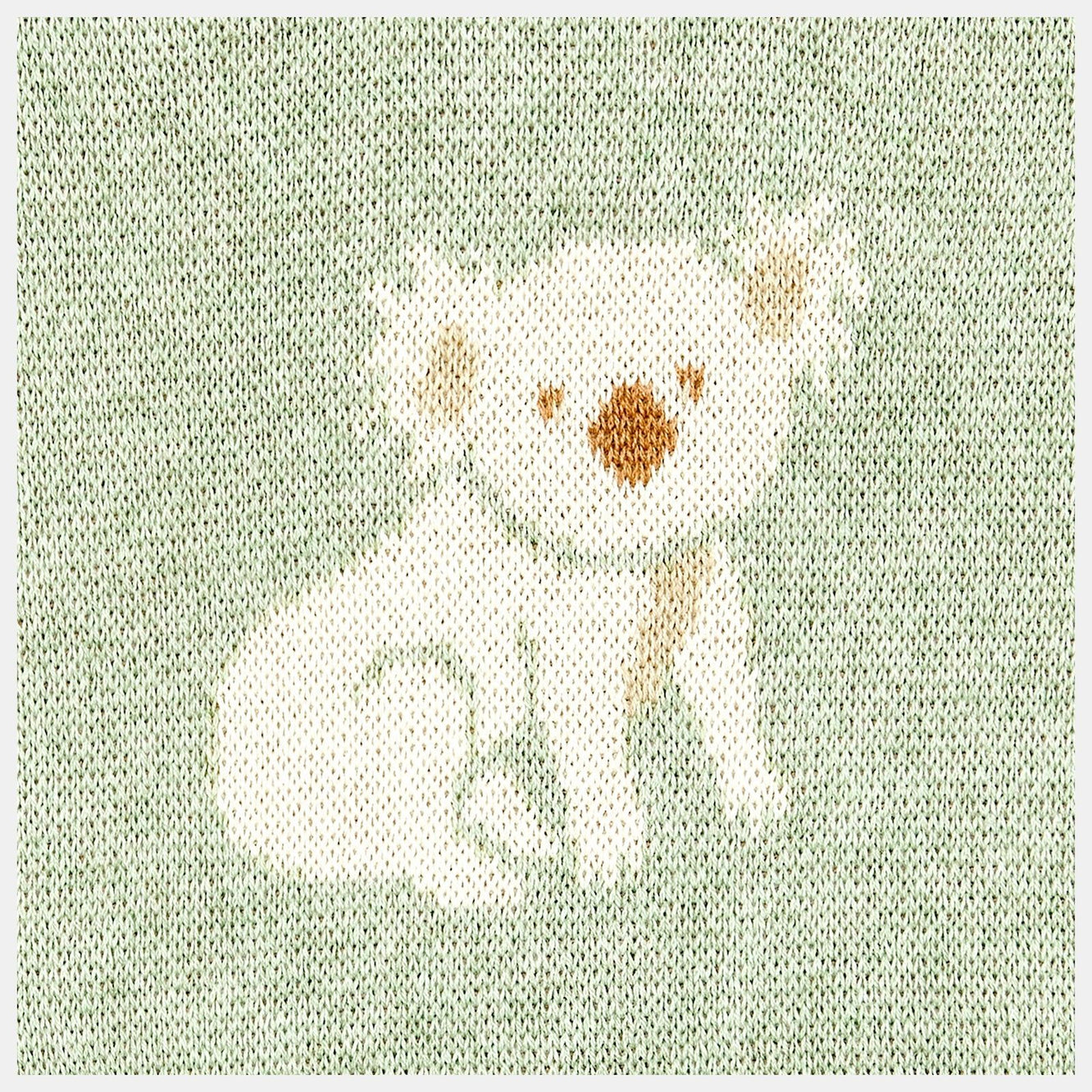 Organic Pullover Storytime - Koala