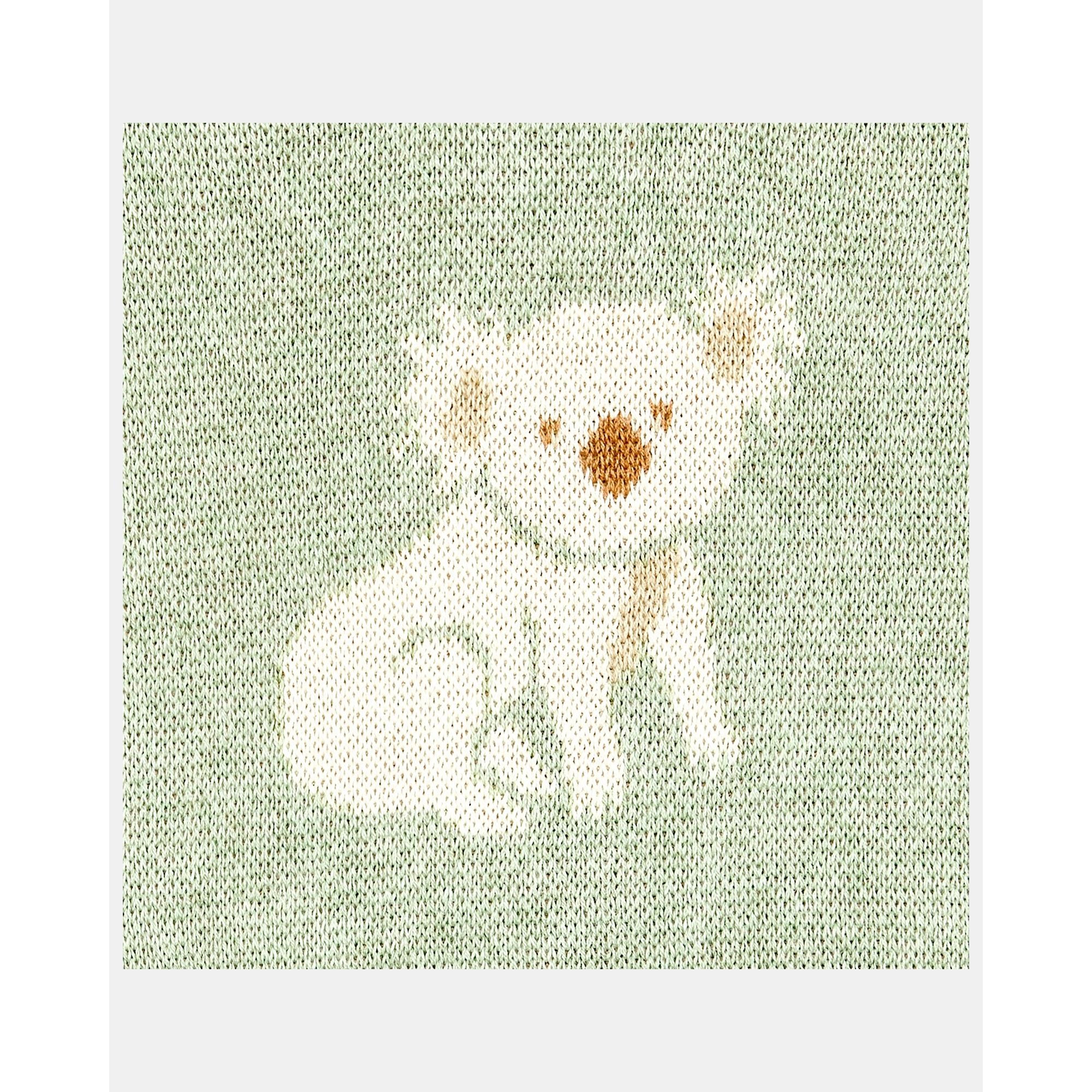 Organic Pullover Storytime - Koala