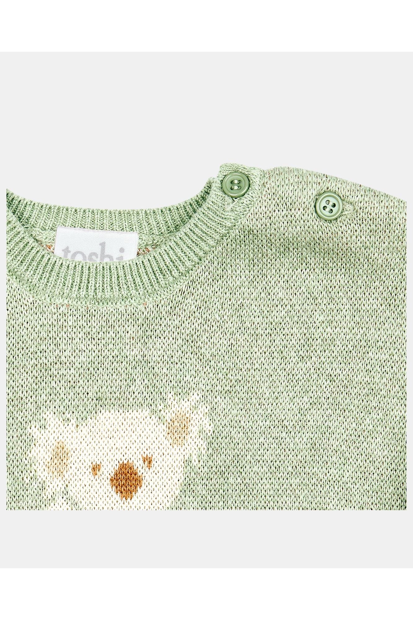 Organic Pullover Storytime - Koala