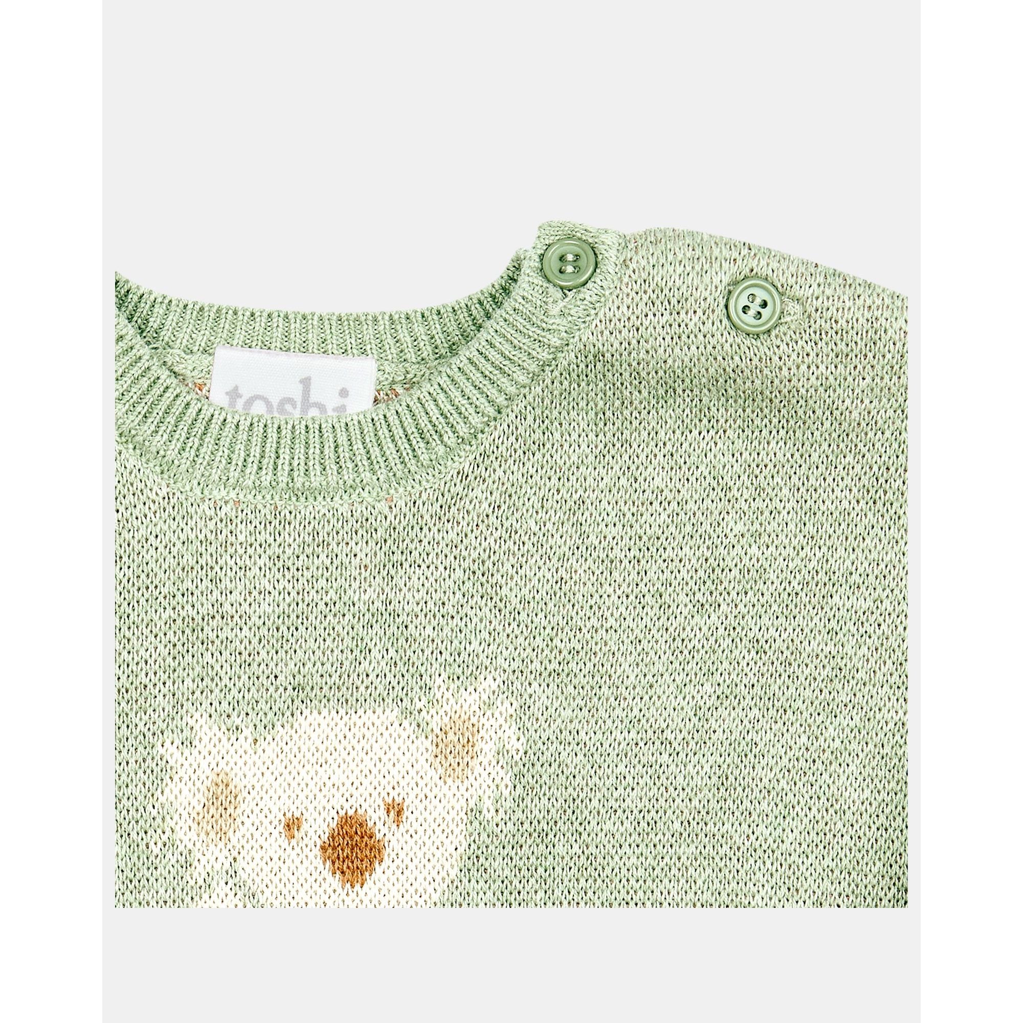 Organic Pullover Storytime - Koala