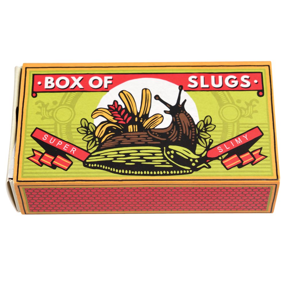 Rex London Creepy Crawlies – Box of Two Slimy Slugs