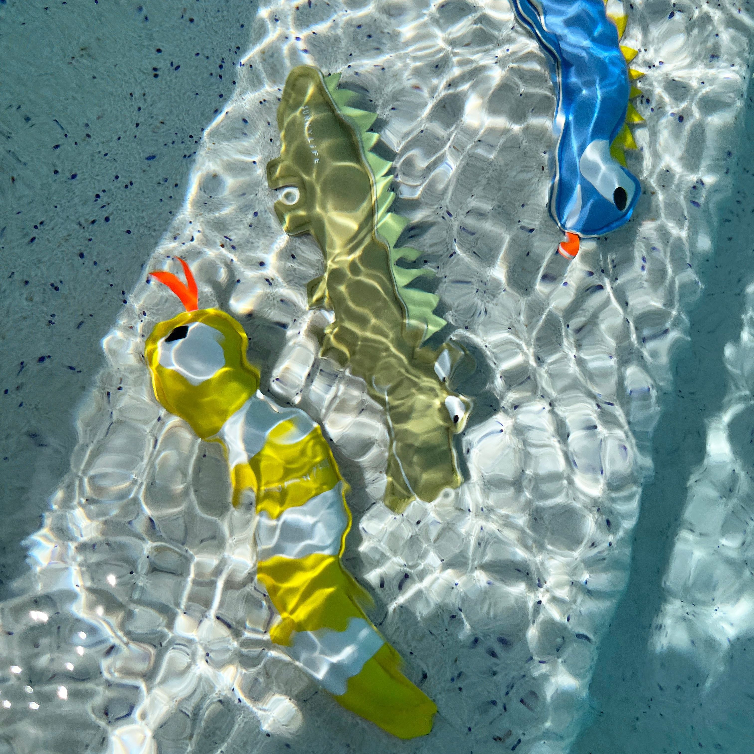 Dive Buddies - Into the Wild Multi Set of 3